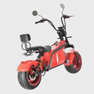 2023 60V 12Ah 20Ah pil yetişkin elektrikli motosiklet Citycoco 2000W Off Road Citycoco Scooter