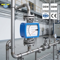 KY AMH Promotion Débitmètre à flotteur vertical à bride en acier inoxydable SS316 4-20mA pour la mesure dans les conduites de protection à l'azote des chaudières