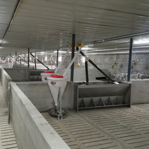 Máng ăn bằng thép không gỉ hai mặt cho trang trại lợn <span class=keywords><strong>SUS</strong></span> tự động cho lợn ăn PH máng vỗ béo động vật lợn - Product Image 6