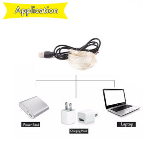 <strong>USB</strong> Powered 5V LED Silver Copper Wire String <strong>Lights</strong> 5M 50 LEDs Garland for Home Christmas Wedding Party Decoration <strong>Fairy</strong> <strong>Light</strong> - Product Image 2