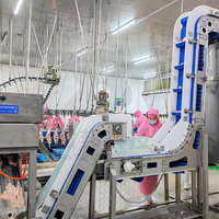 ZB 500Bph-13000Bph Abattoir de volaille d'abattoir de poulet personnalisé avec équipement de traitement Halal
