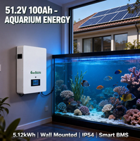 Baterai Lithium Ion 5kWh 48V 51.2V 100Ah untuk Sistem Surya Hibrida yang Dipasang di Dinding