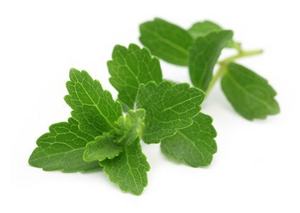 Extracto Natural de Stevia |   Cero Calorías |   Sin elevación de <span class=keywords><strong>glucosa</strong></span> en sangre |   90% SG | Muestra de 100g Solo Cuesta 20$ - Product Image 2