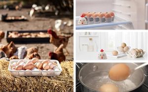 <b>Silicone</b> Egg Brush Cleaner Egg Washer Cleaning Brush for Fresh Eggs - Product Image 5