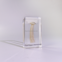 Nature Real Cultivated Mushroom in Resin Spécimen Embedded Exploration Students Education Kit