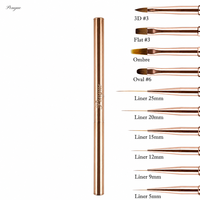 Nouvelle Arrivée 2026 Pinceau à ongles double tête avec manche en métal doré, poils synthétiques Kolinsky, liner ovale, vente en gros, logo personnalisé