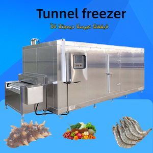 Thương Mại Trái Cây Đóng Băng Máy Đa Chức Năng Hải Sản Tủ Đông Đông Lạnh Đường Hầm Thực Phẩm Đóng Băng Chế Biến Sâu - Product Image 6