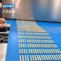 Automatische pretzelstokjes productielijn, knapperige koekjeslijn, zoute biscuitmachine te koop
