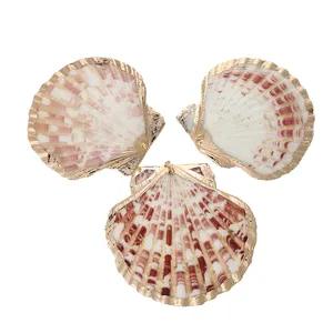 Wholesale fashion gold or silver plated shell pendants