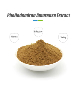 Chinese Traditional Herb <strong>Phellodendron</strong> Amurense <strong>Extract</strong> - Product Image 3