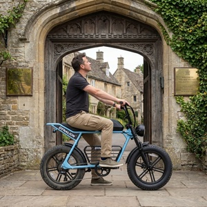 Bicicleta Eléctrica con Llantas Gruesas de Color Verde Personalizado, con Desviador de 7 Velocidades, Bicicleta para Recorridos Rurales y Exploración de Pueblos - Product Image 6