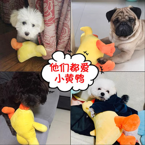 Jouet en peluche en forme de canard pour chiens, compagnon de jeu d'intérieur pour animaux de compagnie, cadeau pour chiot Corgi - Product Image 2