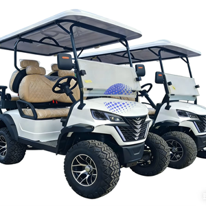 Ofertas de Descuento en Carritos de Golf Eléctricos/Gasolina Todoterreno Negros, Carrito de Golf Eléctrico de Lujo, Buggy, Vehículo de Caza en Oferta - Product Image 1