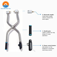 Électrocuteur à porcs avec sonde en acier inoxydable et interrupteur de sécurité pour équipement d'abattage de porcs, outils de boucherie, pistolet d'étourdissement pour abattoir