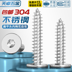 Tornillos Autorroscantes de Cabeza Plana Torx de Acero Inoxidable 304 Tianzhuo Hardware M2 M3 M4 M5 para la Industria de la Construcción - Product Image 2