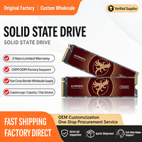 قرص صلب M.2 NVMe PCIe 4.0 Gen4 بسعة 1 تيرابايت و2 تيرابايت و4 تيرابايت، ذاكرة SSD ثلاثية الأبعاد بتقنية NAND بسرعة 7400/6800 ميجابايت/ثانية، ترقية تخزين بالجملة OEM لأجهزة PS5 وأجهزة الكمبيوتر للألعاب
