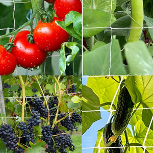 Red de enrejado de jardín reutilizable-Rejilla de malla de plástico fuerte para jardinería vertical de tomates, pepinos y plantas trepadoras - Product Image 1