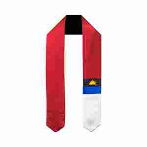 ที่กำหนดเองสิงคโปร์ขโมยการศึกษาต่างประเทศผู้ใหญ่ unisex - Product Image 4