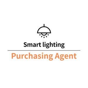 Système Wi-Fi intelligent pour éclairage de rue et de Noël avec capteur de trafic, idéal pour les agents d'achat en Chine et les bandes LED pour rideaux domestiques - Product Image 1