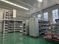 Système de cages à poules pondeuses à prix abordable avec équipement avicole de qualité fiable – Cage à poules pondeuses