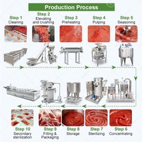 Complete semi-automatische productielijn voor tomatenjam, -puree, -ketchup en -pasta met afvullijn