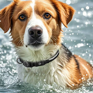 Collar de Nailon LED Ajustable para Perros, Collar Luminoso para Mascotas con Soporte para Airtag, Recargable por USB, Collar Luminoso en la Oscuridad - Product Image 5