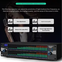 Égaliseur numérique double 31 bandes avec fonction limiteur de pic, entrée XLR, commande par bouton, construction métallique pour spectacles sur scène et réunions