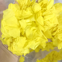 Fournitures de fête, décoration de mariage, confettis biodégradables en pétales pour la décoration de l'allée de mariage, pétales de fleurs
