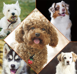 Ökologisch-freundliches natürliches 400 ml Haustierpflege-Shampoo-Conditioner für Haustierpflege - Product Image 6