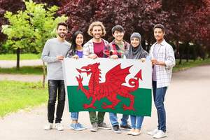 Оптовая продажа, высокое качество, 3 Х5 футов, двойная прошивка, дешевая цена, полиэстер, большие флаги страны с изображением дракона и Уэльса - Product Image 3