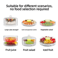 Buiten koelbox met 4 compartimenten, multifunctioneel, voor voedsel, fruit, groenten en salades, taartplateau