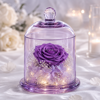 Trendige Deko Großhandel Konservierte Rose unter Glaskuppel mit LED-Licht Mini Ewige Blume Geschenk für Valentinstag Geburtstag