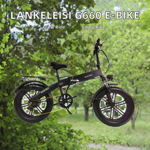 Bicicleta Eléctrica Plegable G660 de 20 Pulgadas con Cuadro de Aleación de Aluminio, Batería de Litio de 48V 14.5Ah y Motor Trasero de Disco de Más de 500W - Product Image 1