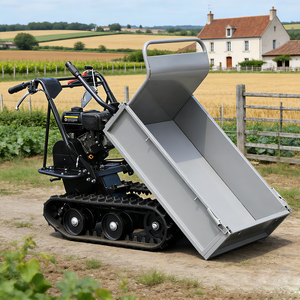 Mini-dumper chenillé hydraulique <span class=keywords><strong>à</strong></span> <span class=keywords><strong>moteur</strong></span> diesel, très demandé pour l'agriculture, en vente au Royaume-Uni - Product Image 1