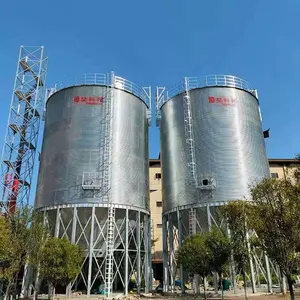 100-15000 ton özelleştirilmiş kapasite galvanizli mısır TAHIL PİRİNÇ depolama Silo soya unu Silo