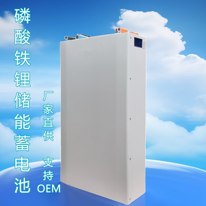 LiFePO4 Wall <b>Mounted</b> Energy Storage <b>Battery</b> 51.2V 100Ah 200Ah Home Solar Power Hybrid Grid System - Product Image 1