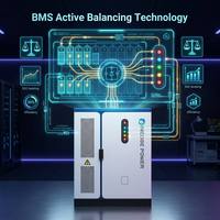 Sistema Solare All-in-One C&I con Batteria di Accumulo Energetico Inedge Power OEM/ODM 105KW/208KWh 125KW/261KWh Raffreddata a Liquido LFP