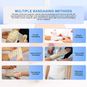 BIX-LV12 Modelo Avanzado de Vendaje de Baja Extremidad, Ciencia Médica, PVC, Vendaje Artificial para Miembro <span class=keywords><strong>Inferior</strong></span>, Entrenamiento para Estudiantes, <span class=keywords><strong>Esqueleto</strong></span> <span class=keywords><strong>Humano</strong></span> - Product Image 4