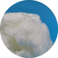 Fibre PCM blanche PE&PP 2/4/6D*38/51/64mm économique pour chiffons de nettoyage, sous-vêtements, vêtements d'extérieur, sacs de couchage