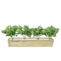 Feuillage artificiel de Peperomia Melon d'eau en brins pour la décoration murale végétale et les arrangements en pot