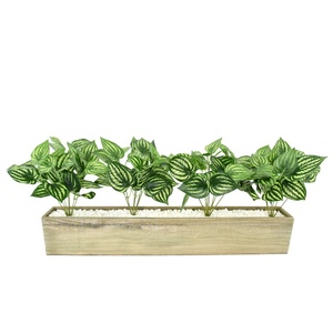 Bán Nhà Máy Variegated Faux Dưa Hấu Lá Cây Nhân Tạo Để Trang Trí Hoa - Product Image 3