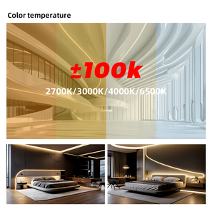 Tira de Luz LED de Neón de Alta Eficiencia para el Mercado Estadounidense, Gran Venta, 100LM/W, Alto CRI >90, 2700K-6500K, 8W/M, Diámetro de Curvatura Lateral de 30mm - Product Image 4