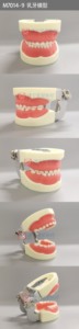 Modèle de préparation pour pédales, appareil orthopédique, soin des mains - Product Image 2