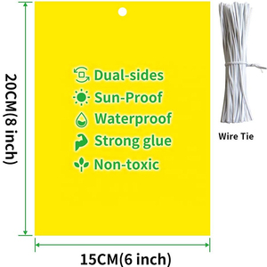Bẫy dính côn trùng dạng tấm màu vàng dùng để diệt kiến và côn trùng trong vườn - Product Image 6