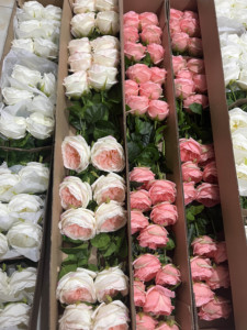 Commercio all'ingrosso di alta qualità 48CM artificiale reale Touch rose rosse in lattice per centrotavola matrimonio composizioni da tavolo per feste - Product Image 6