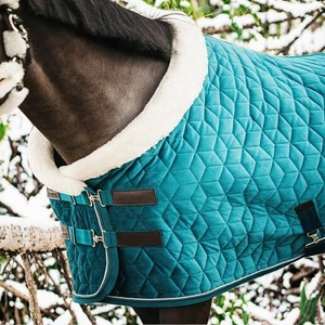 Coperta di cavallo pesante impermeabile di alta qualità tappeto stabile in cotone per uso invernale all'aperto fornisce il massimo calore e cura - Product Image 2