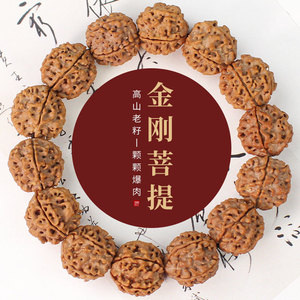 Vajra Bodhi Seed Bracelet 20mm <b>Single</b> Strand Men's Buddhist Jewelry Gift <b>Flower</b> Shape Collectible - Product Image 1