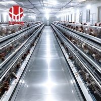 Vente Chaude : Cage de ponte de type A pour poules pondeuses, galvanisée à chaud, antirouille, équipement d'élevage avicole