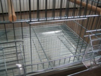 ORIENPET & OASISPET Cage d'élevage d'oiseaux en fil empilable à revêtement en poudre avec plateau en métal diviseur OPT39142 Produits pour cage pour animaux de compagnie