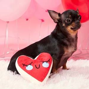 Juguetes para Perros de San Valentín, Juguetes de Peluche Duraderos en Forma de Corazón con Sonido - Product Image 4